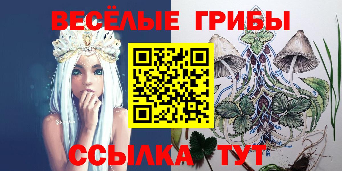 Тайшет  Галлюциногенные грибы мицелий  продажа наркотиков  Вход с VPN 