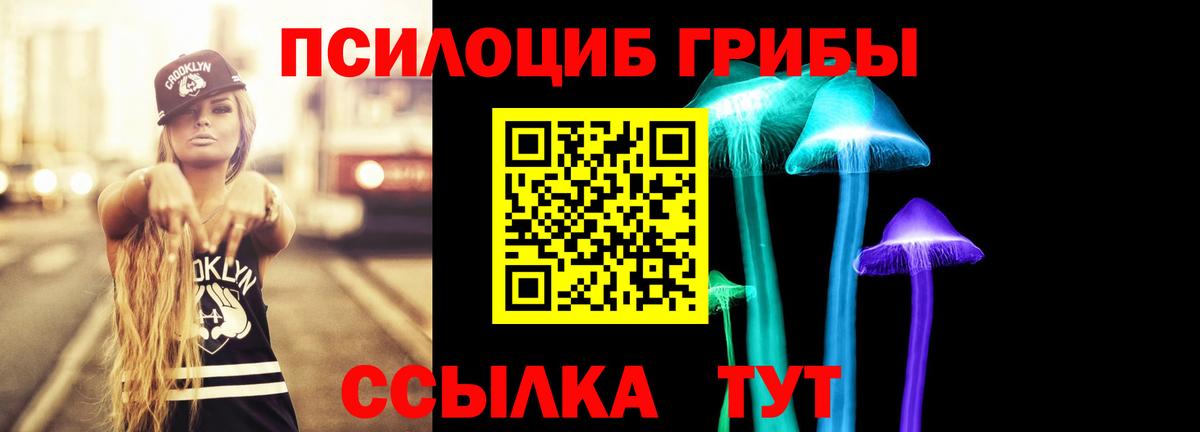 Галлюциногенные грибы GOLDEN TEACHER Тайшет